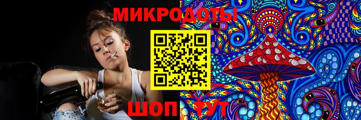 Псилоцибиновые грибы Psilocybe Солнечногорск