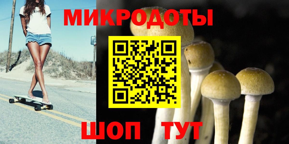 Солнечногорск  Галлюциногенные грибы прущие грибы  Вход с VPN 